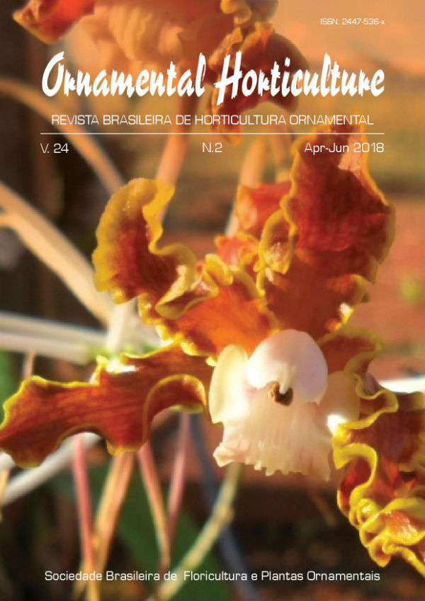 Novo híbrido de orquídea Cattleya | Ornamental Horticulture